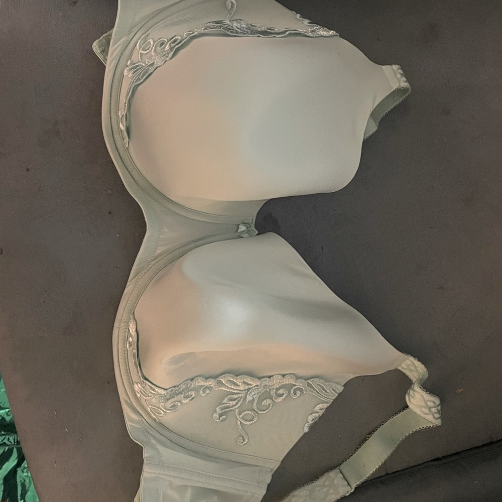 Vanity Fair bra